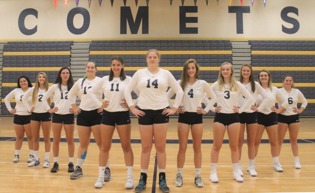 Girls' volleyball team