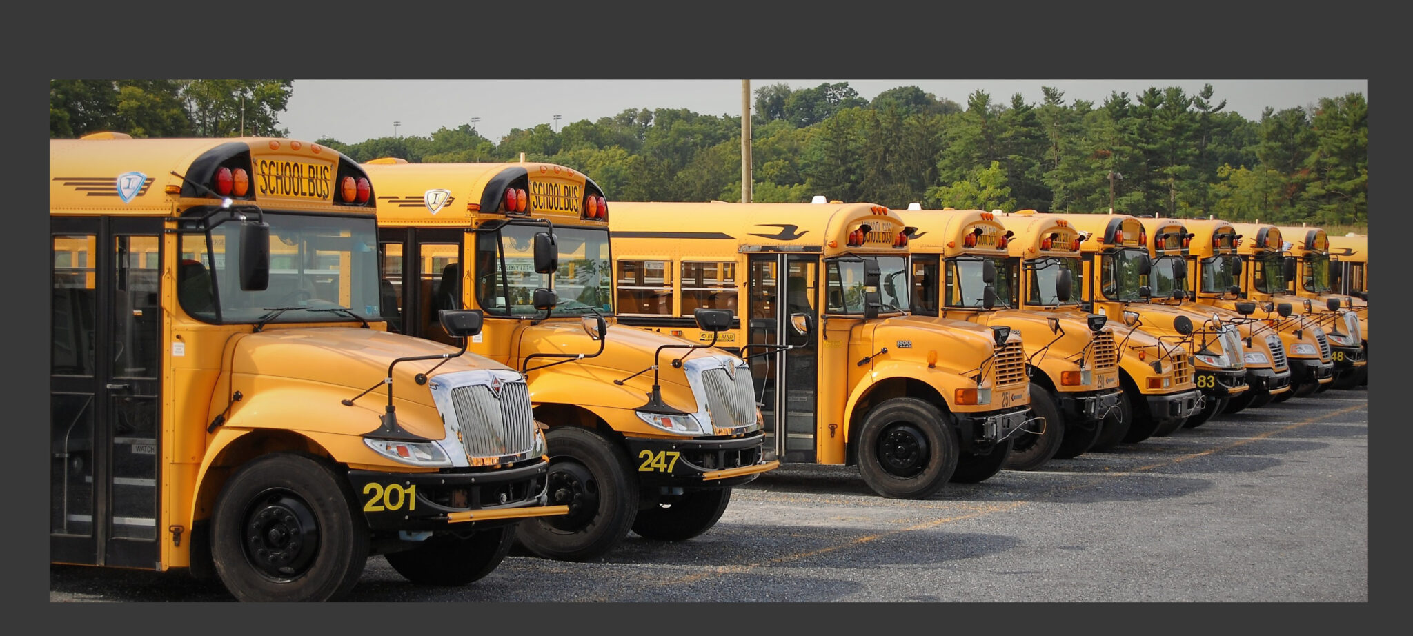 Masks no longer required on Penn Manor school buses