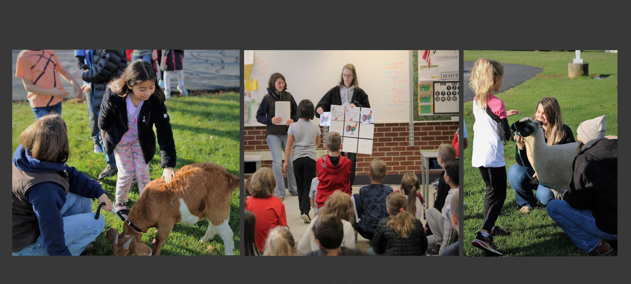 FFA members visit elementary schools to teach about agriculture