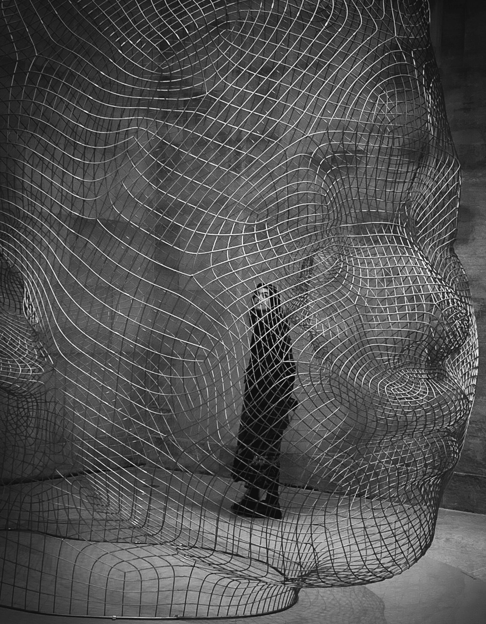 A photo of a person inside a mesh head
