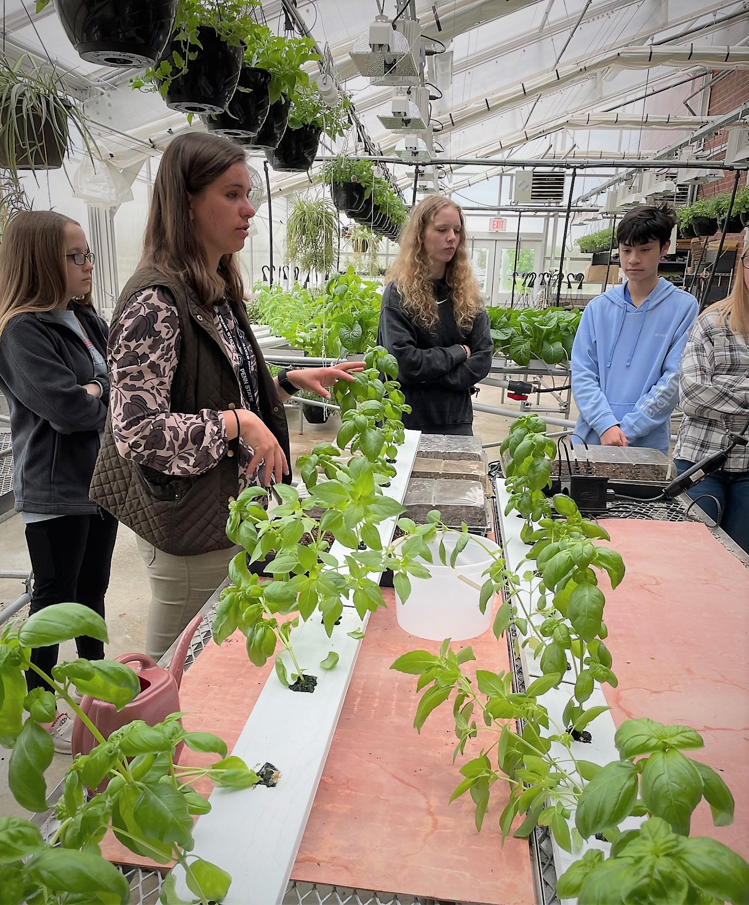 Three students and a teacher in the greenhouse.