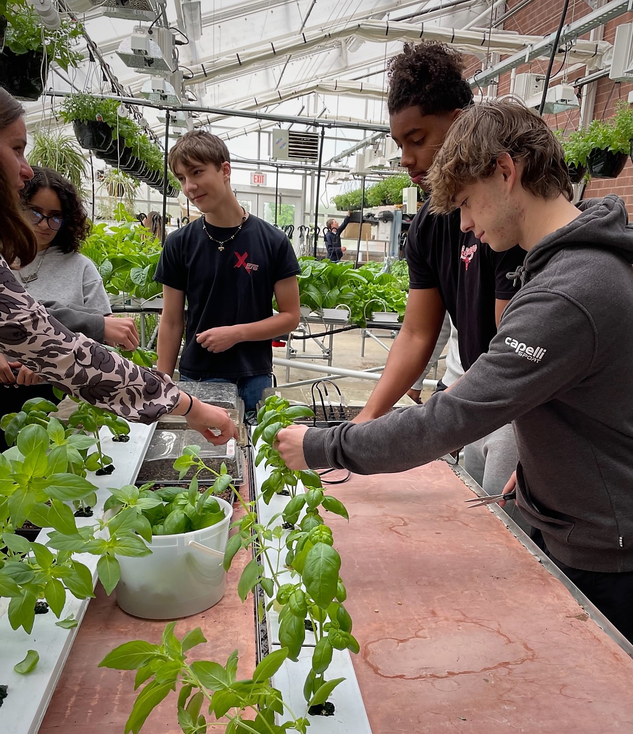 Four students and a teacher in the greenhouse.