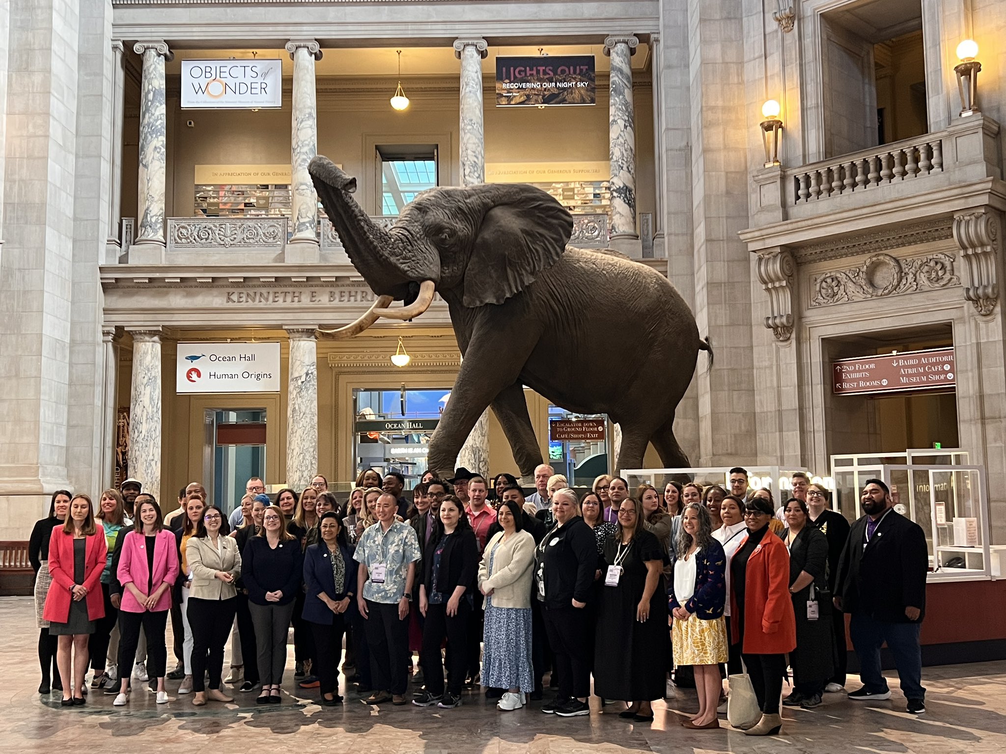 Photo of more than 50 teachers in front of an elephant inside the Smithsonian.